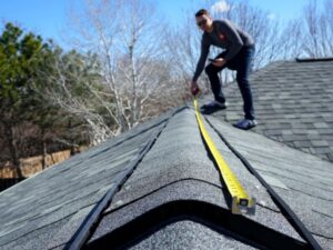 Unlocking the Potential of Energy-Efficient Roofing Systems